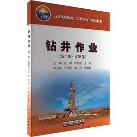 钻井作业(第2版·富媒体)