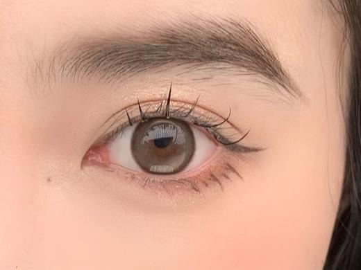 IRA 日抛 小狐狸·棕 直径14.2mm着色13.4mm 商品图6