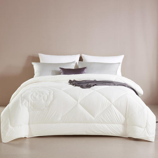 【堂皇】欧洲进口羊毛被200*230cm，填充物2.1KG（快递不含纸盒包装） 商品图0