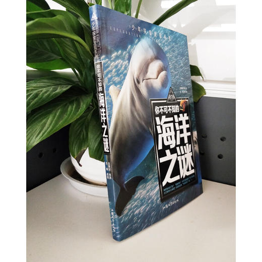 少年探索发现系列 你不可不知的海洋之谜 商品图4