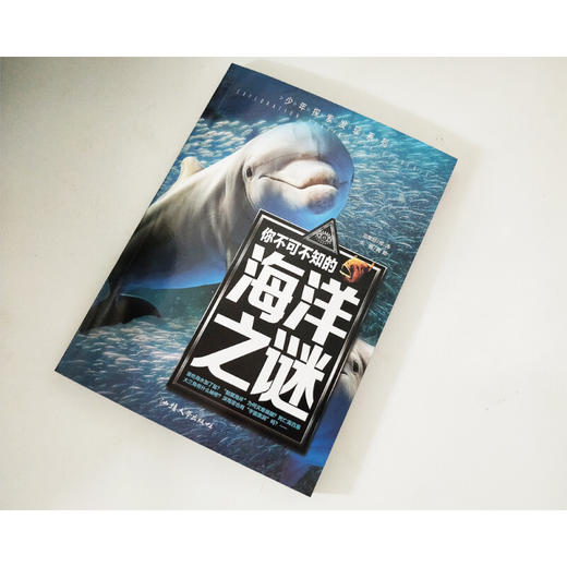 少年探索发现系列 你不可不知的海洋之谜 商品图3