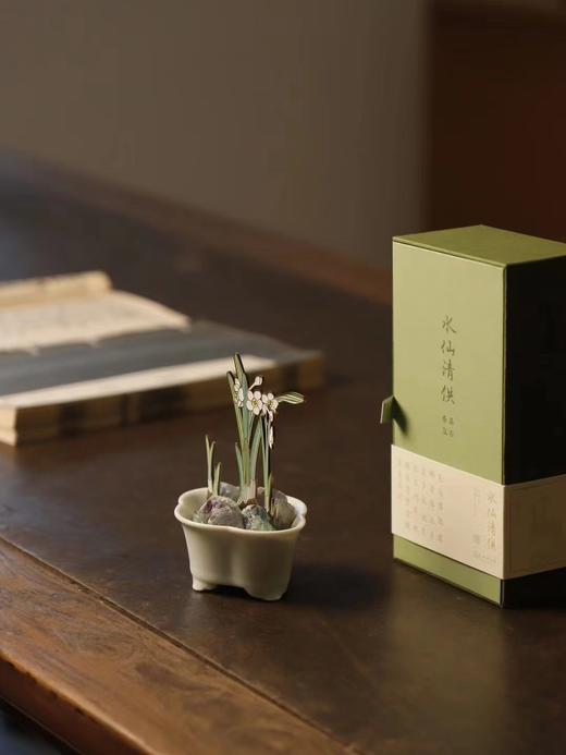 【早春特呈】送苏州博物馆文创“水仙清供”香氛晶石 | 三联中读知识会员（年） 商品图1