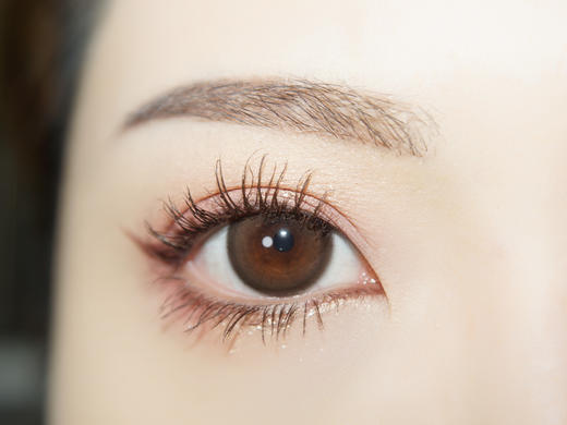 DorisCon旗下  肉桂栗棕 14.5mm白狮参考着色中大直径  半年抛2片 商品图2