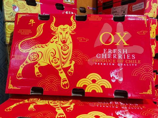 智利车厘子3J十斤458 商品图0