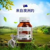 澳洲 Brand布兰德考拉按树硬糖 100g/瓶 布兰德尤加利肺清 商品缩略图2