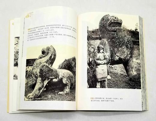 西洋镜：《中国早期艺术史》（全2册）《5-14世纪中国雕塑》（全2册），16开，瑞典 喜仁龙著，广东人民出版社2019年版，单种定价228元，售价68元每套。总定价456元，合售价：128元。可单售。 商品图7