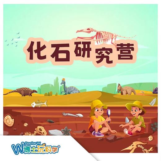 南古馆暑期【化石研究营】更深入专业的化石研究 商品图0