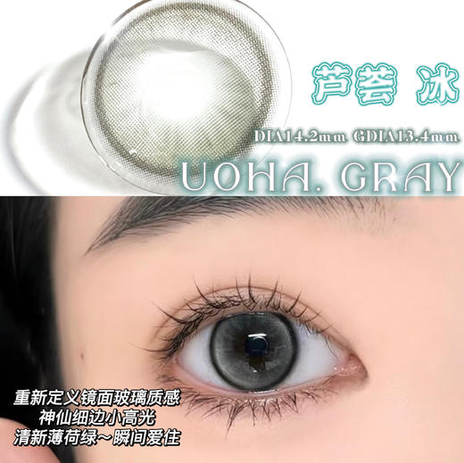 半年抛丨芦荟冰·Ginomii丨14.2mm（半年抛/2片装） 商品图0