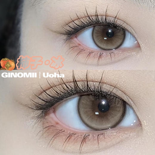 半年抛丨柿子冰·Ginomii丨14.2mm（半年抛/2片装） 商品图5