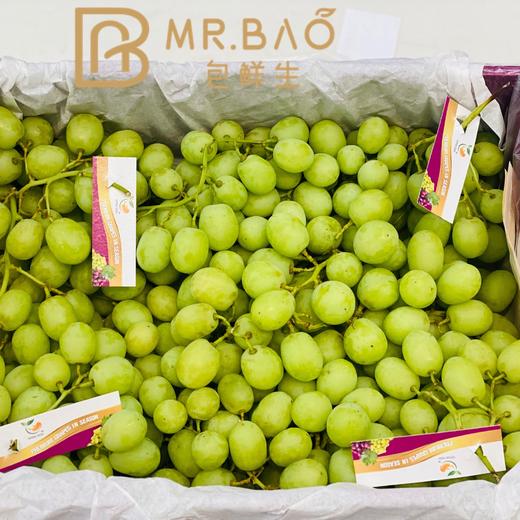 智利🇨🇱甜地球青提（500g/斤/盒） 商品图0