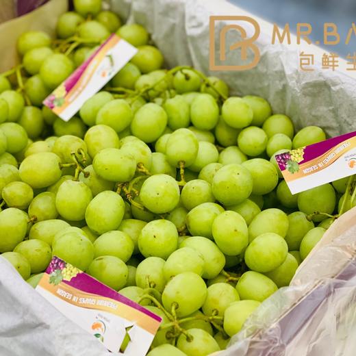 智利🇨🇱甜地球青提（500g/斤/盒） 商品图1