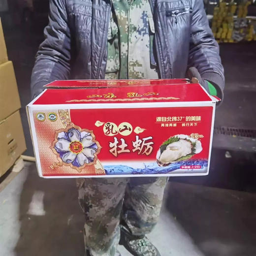 王中王乳山生蚝2.5-3公斤左右 商品图0