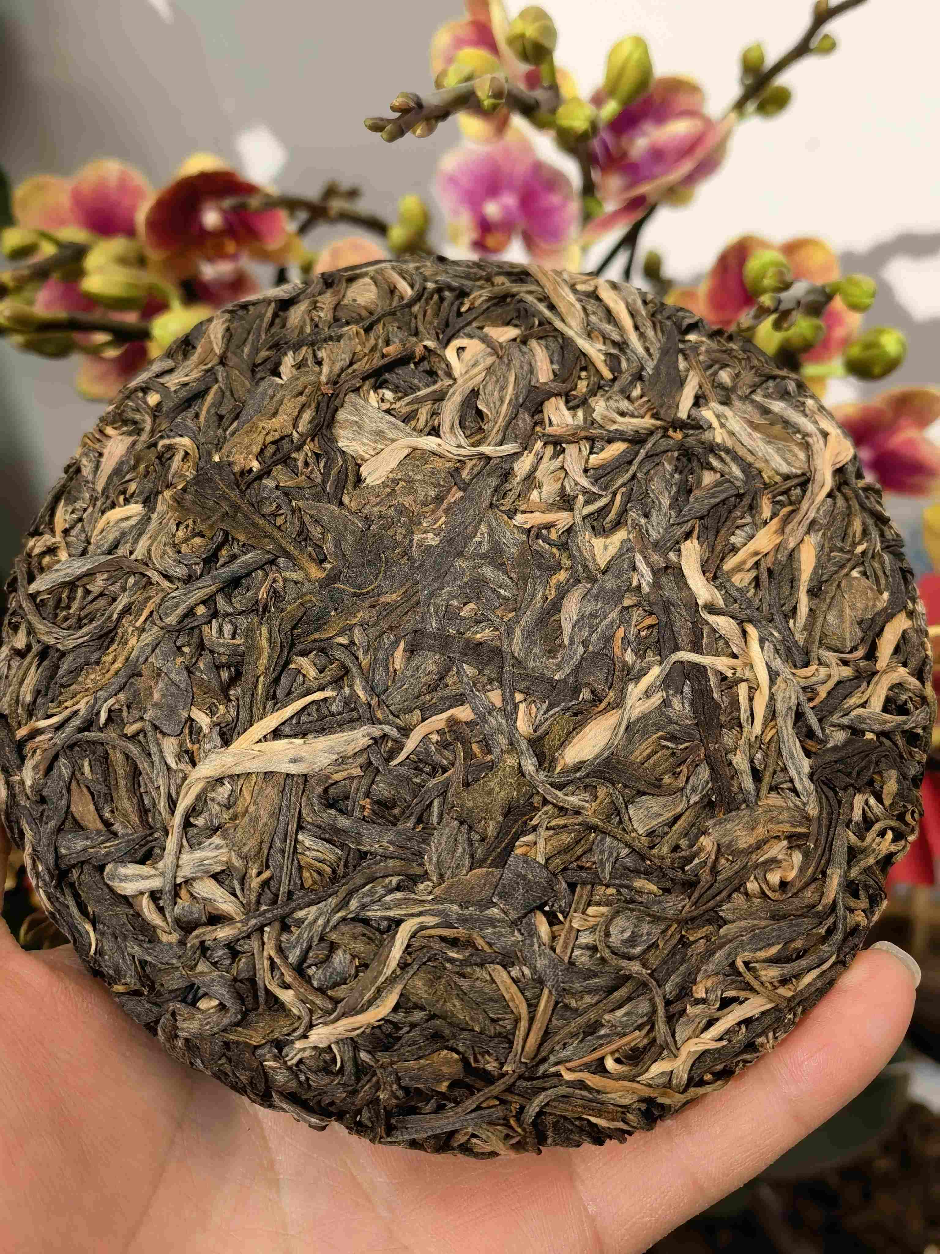 47      财饼！2019三丘田春茶，正月初五特供，1111一百片，过年开张图个彩头！