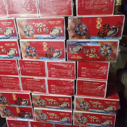 王中王乳山生蚝2.5-3公斤左右 商品图2