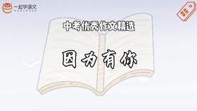中考优秀作文精选：因为有你