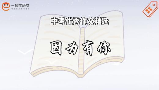 中考优秀作文精选：因为有你 商品图0