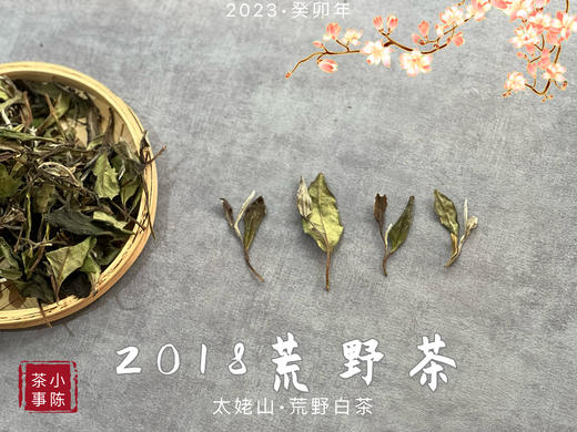 【重磅推荐】2018荒野茶，一款被时间“蹉跎”的荒野牡丹 商品图3