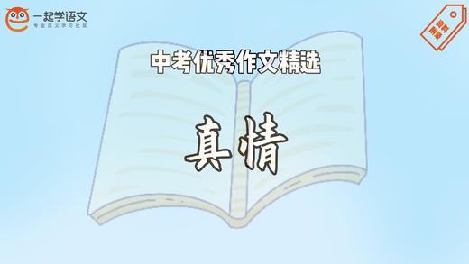 中考优秀作文精选：真情 商品图0