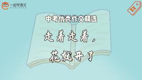 中考优秀作文精选：走着走着，花就开了