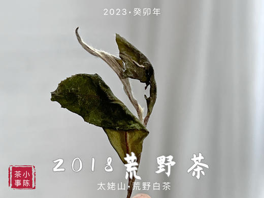 【重磅推荐】2018荒野茶，一款被时间“蹉跎”的荒野牡丹 商品图6