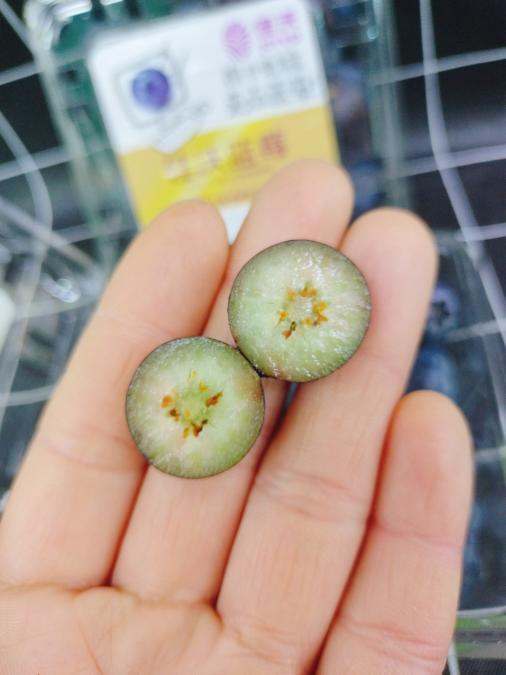 金标蓝莓一盒（拼团） 商品图3