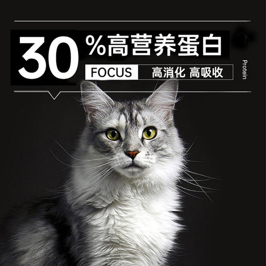 冒险与它全价全期多拼猫粮2.5kg 牛肉粒+鸡肉松 高适口性【包装更新】 商品图4