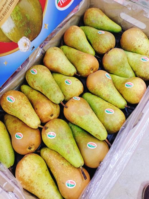 比利时啤梨一箱（拼团） 商品图2