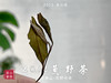 【重磅推荐】2018荒野茶，一款被时间“蹉跎”的荒野牡丹 商品缩略图4