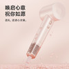 徕芬Laifen高速吹风机  粉金礼盒 商品缩略图2
