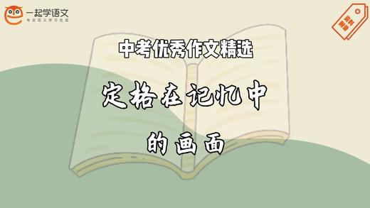 中考优秀作文精选：定格在记忆中的画面 商品图0