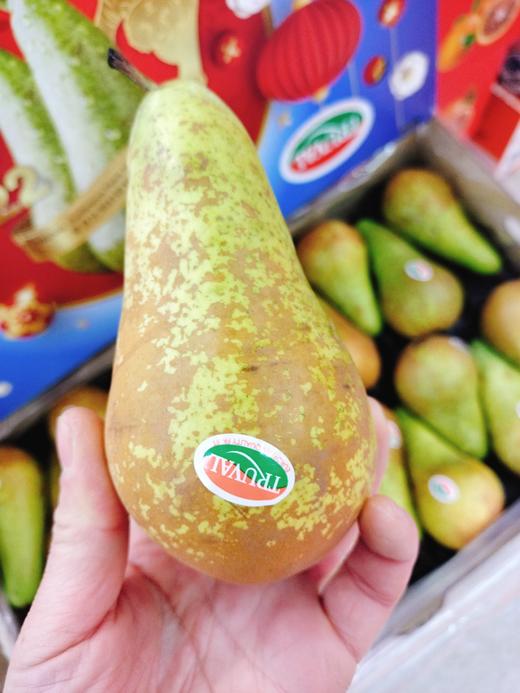 比利时啤梨一箱（拼团） 商品图1