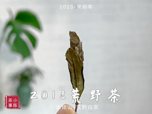 【重磅推荐】2018荒野茶，一款被时间“蹉跎”的荒野牡丹 商品图5