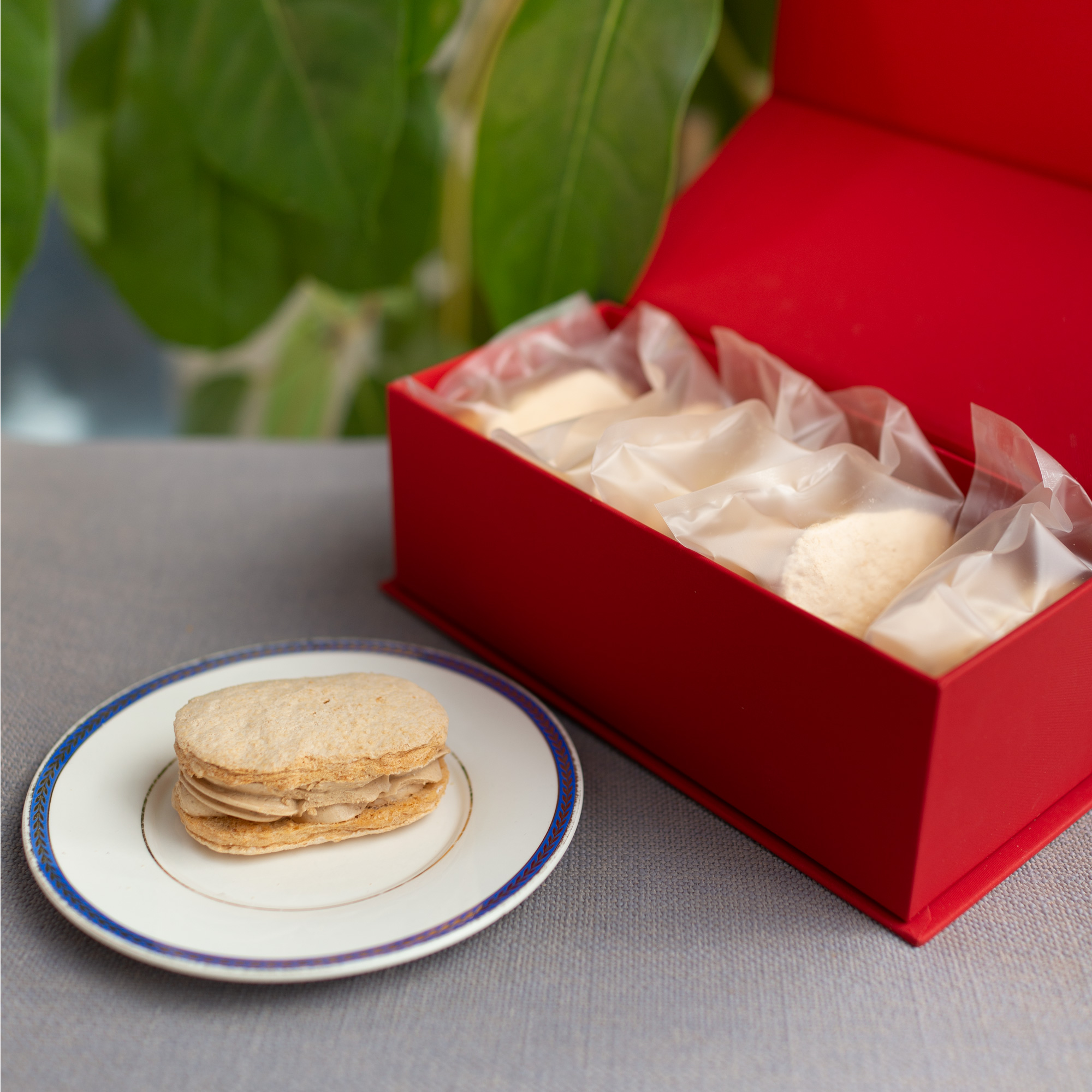 【如意礼盒】达克瓦思5片