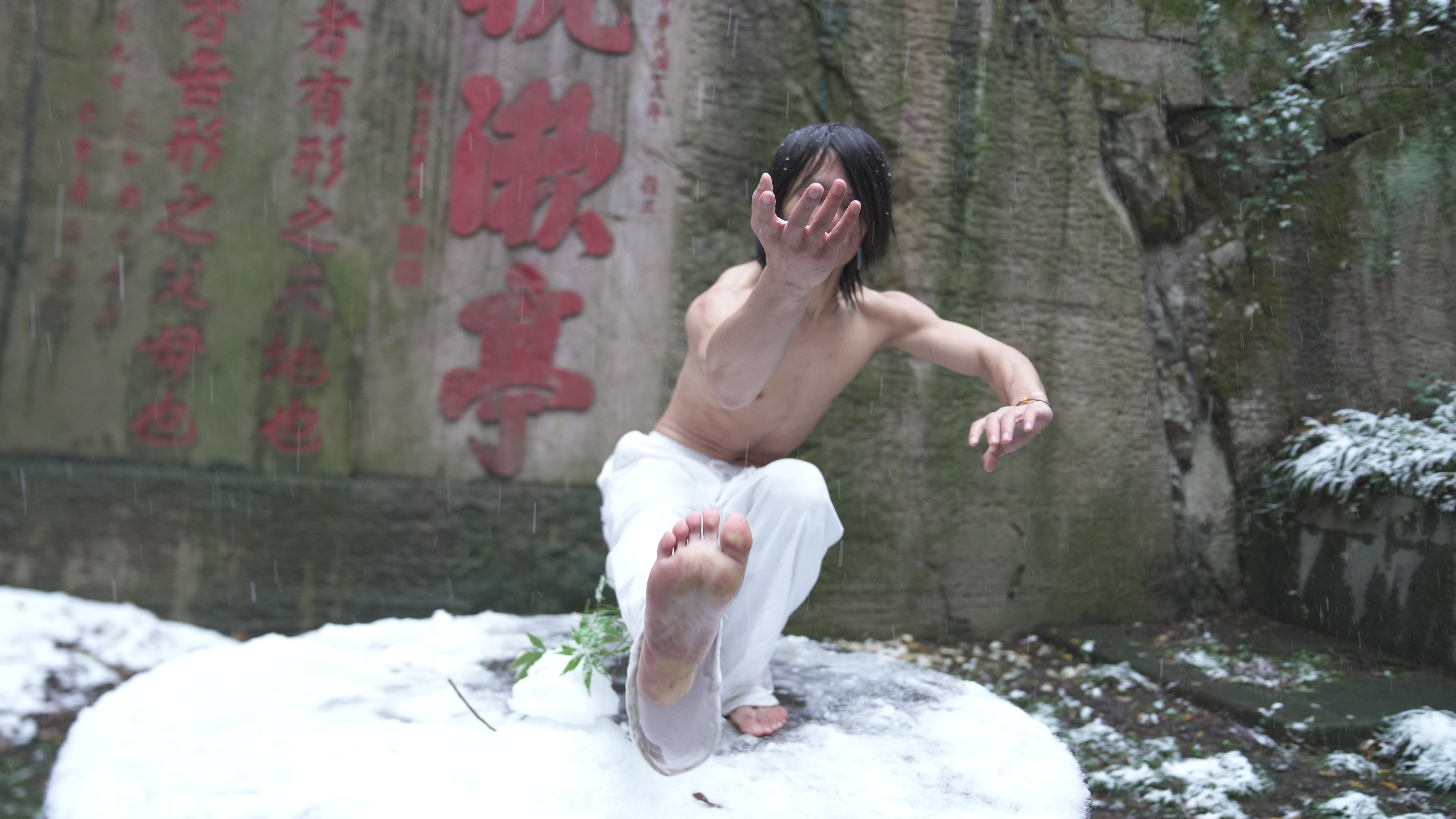 重心力二重： 高手之路，快拳快腿快步