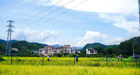 粉丝反馈|美味健康谁不要呢？