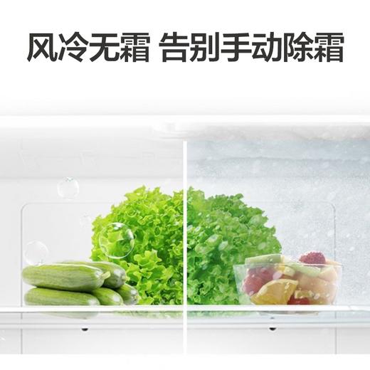 海尔(Haier) 213升 风冷无霜 大容量 家用电冰箱 三开门小型宿舍租房 炫金拉丝 商品图4