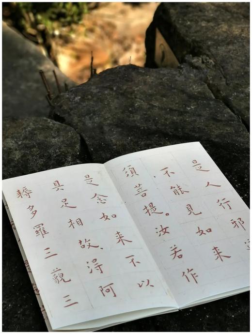 《节录金刚般若波罗蜜经》《般若般罗密心经》，信封装，折页，原大高清单面印刷，售价35包邮。 商品图10