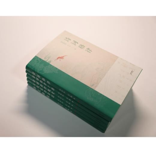 王力五书：《诗词格律》《诗词格律十讲》《诗词格律概要》《古代汉语常识》《语文讲话》 商品图3