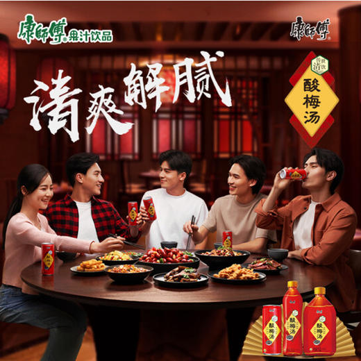 康师傅传世清饮酸梅汤 风味饮品【500ml】 商品图2