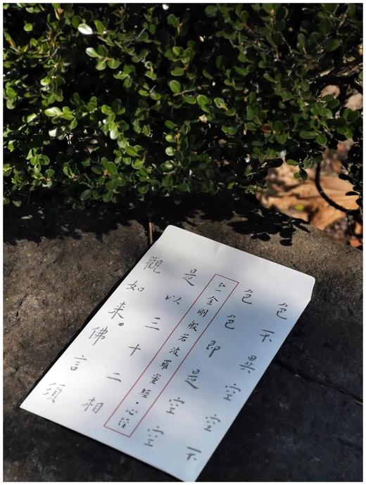 《节录金刚般若波罗蜜经》《般若般罗密心经》，信封装，折页，原大高清单面印刷，售价35包邮。 商品图7