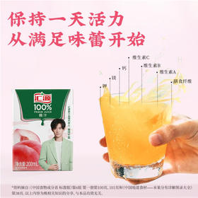 100% 桃汁 200毫升