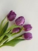 紫色郁金香10支 商品缩略图3