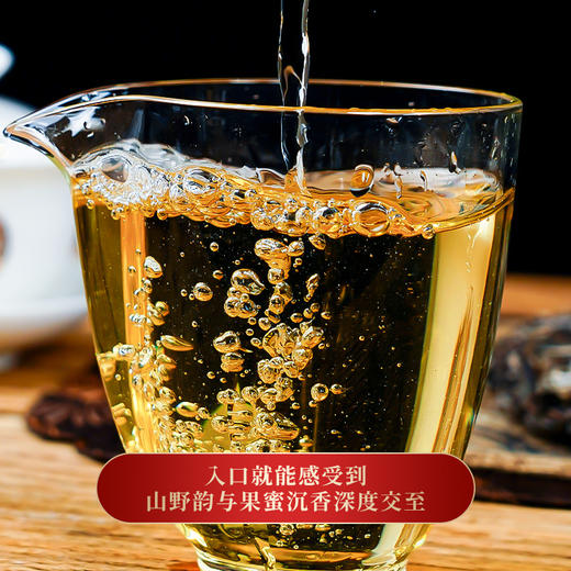 【618导火索】【勐海味道】2021年春茶集勐海古树精华，做勐海标杆韵味357克/饼    300-500年古茶 商品图3