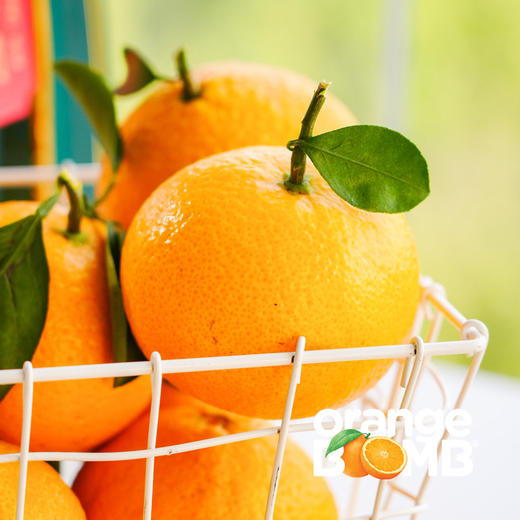 福建甜桔柚 可以手剥 建议撕膜再吃 圆通/邮政随机（不指定） 商品图5