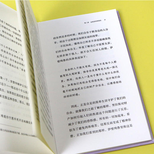 如果我们可以不通过消费获得快乐 伊壁鸠鲁的“四重疗法”为你找到美好生活的边界： 其实你已经坐拥你所需要的一切，只是你没注意到而已。 商品图4