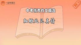 中考优秀作文精选：细微处见真情