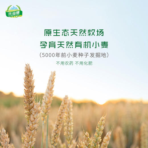 【云上供销】元溢慷 有机沙棘面#200g/包*5 商品图6