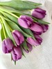 紫色郁金香10支 商品缩略图0