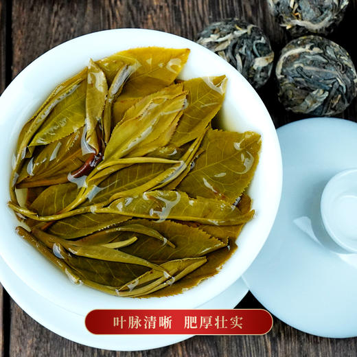 【那卡龙珠】开年福利一斤装那卡龙珠福利价回馈普洱茶生茶勐海茶区龙珠100-200年古茶 商品图4