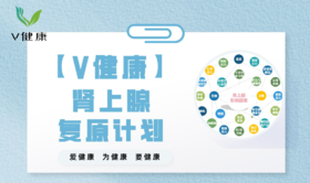 【专栏】肾上腺复原计划